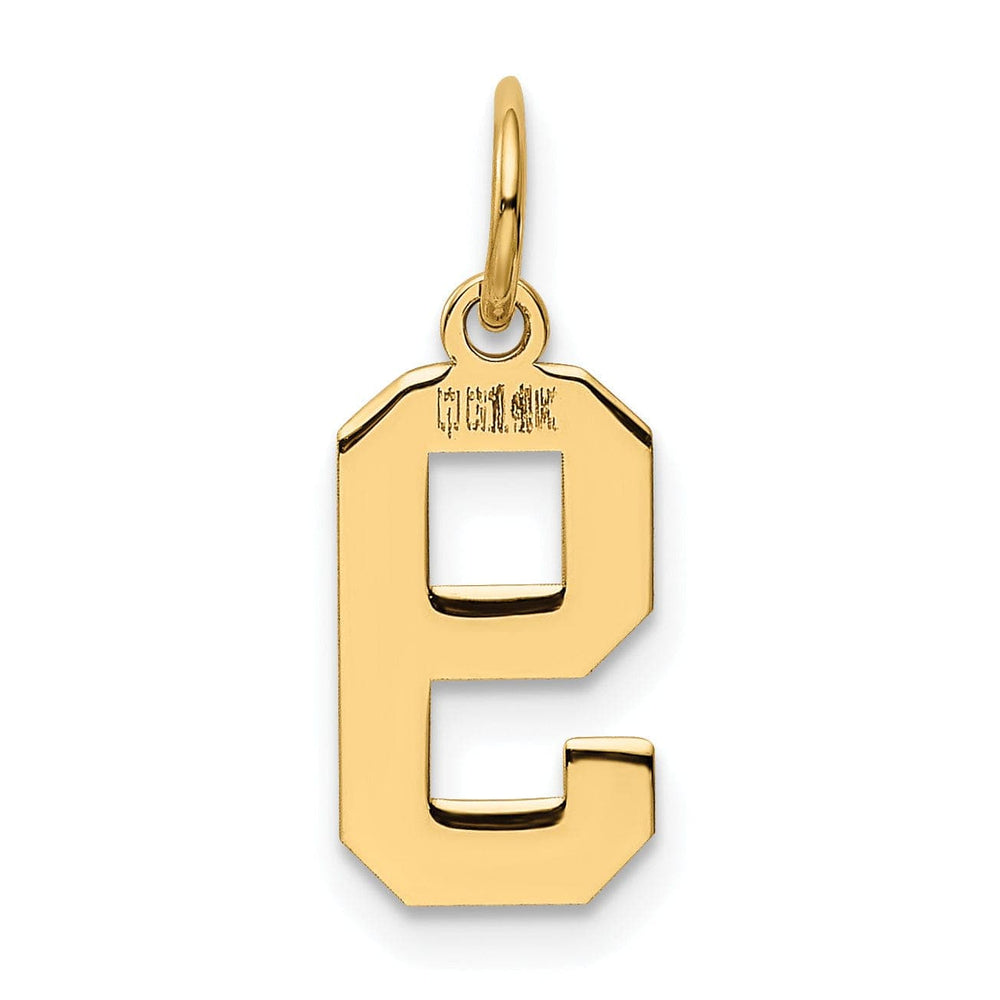 Lovely Rita's Pendants & Charms 14k Yellow Gold Polished Finish Small Size Number 9 Charm Pendant