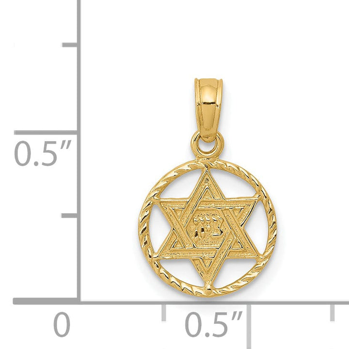 Lovely Rita's Pendants & Charms 14K Yellow Gold Polished Finish Star of David in Circle Frame Pendant
