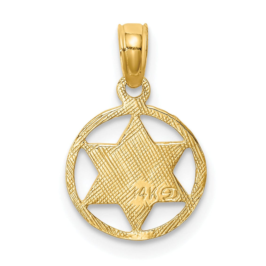 Lovely Rita's Pendants & Charms 14K Yellow Gold Polished Finish Star of David in Circle Frame Pendant