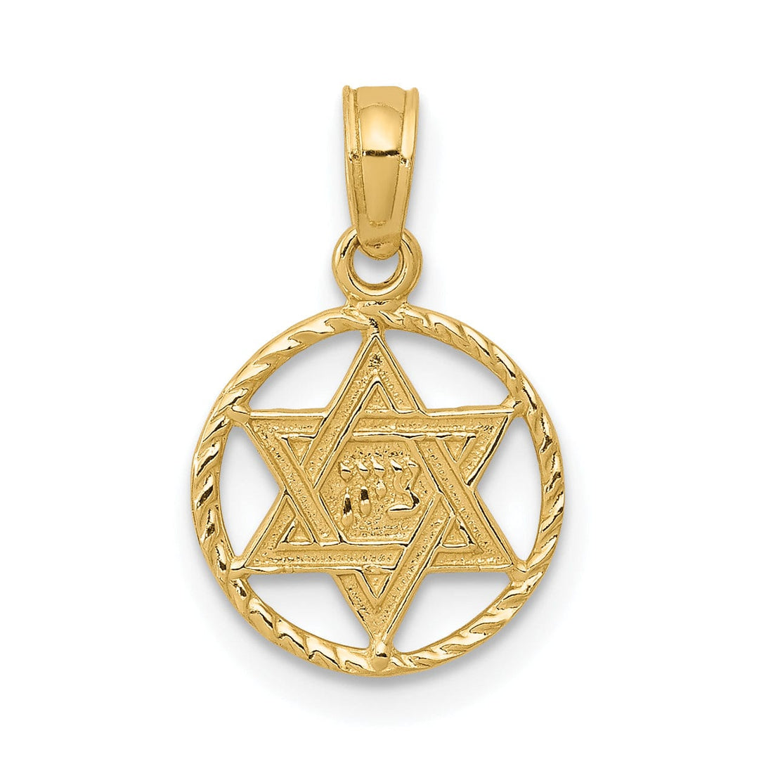 Lovely Rita's Pendants & Charms 14K Yellow Gold Polished Finish Star of David in Circle Frame Pendant