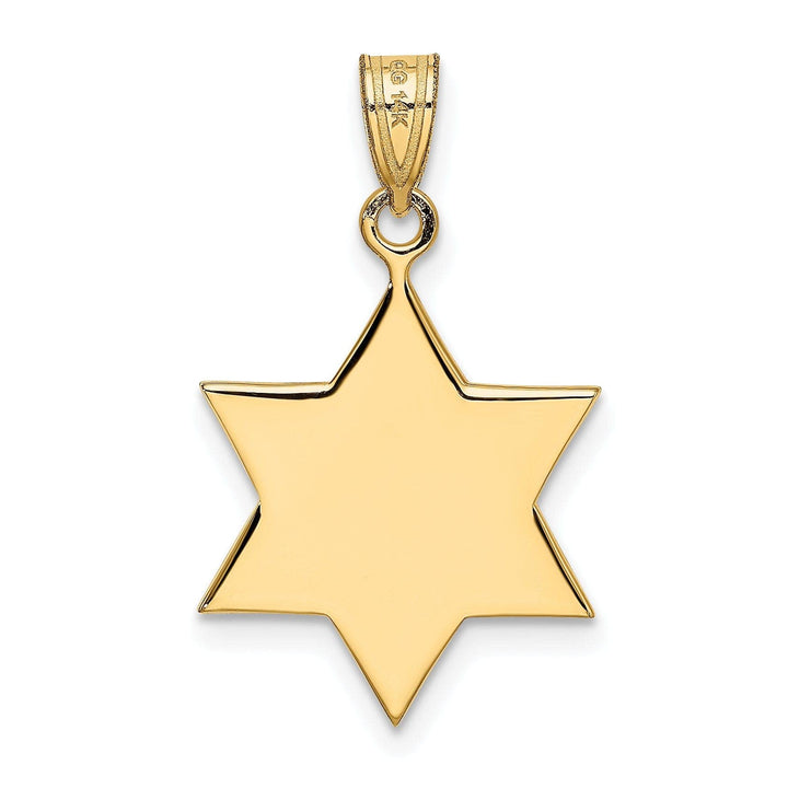 Lovely Rita's Pendants & Charms 14K Yellow Gold Polished Satin Finish Flat Back Star of David Pendant