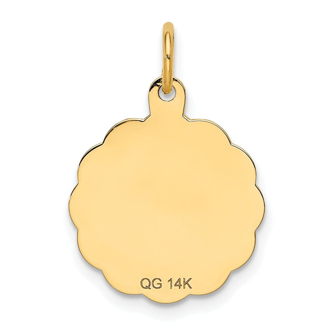 Lovely Rita's Pendants & Charms 14k Yellow Gold Polished Satin Finish Star of David Disc Charm Pendant