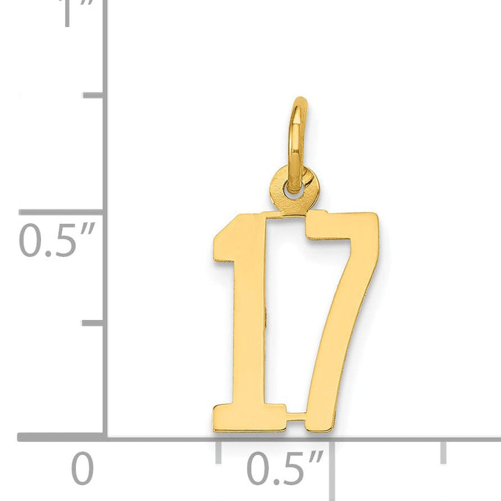 Lovely Rita's Pendants & Charms 14K Yellow Gold Polished Small Size Elongated Shape Number 17 Pendant