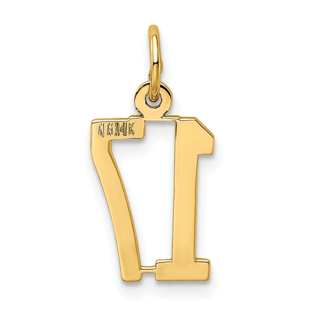 Lovely Rita's Pendants & Charms 14K Yellow Gold Polished Small Size Elongated Shape Number 17 Pendant