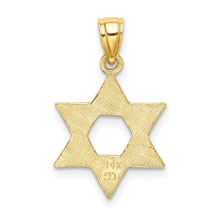 Lovely Rita's Pendants & Charms 14K Yellow Gold Polished Swirls Finish Star Of David Charm Pendant