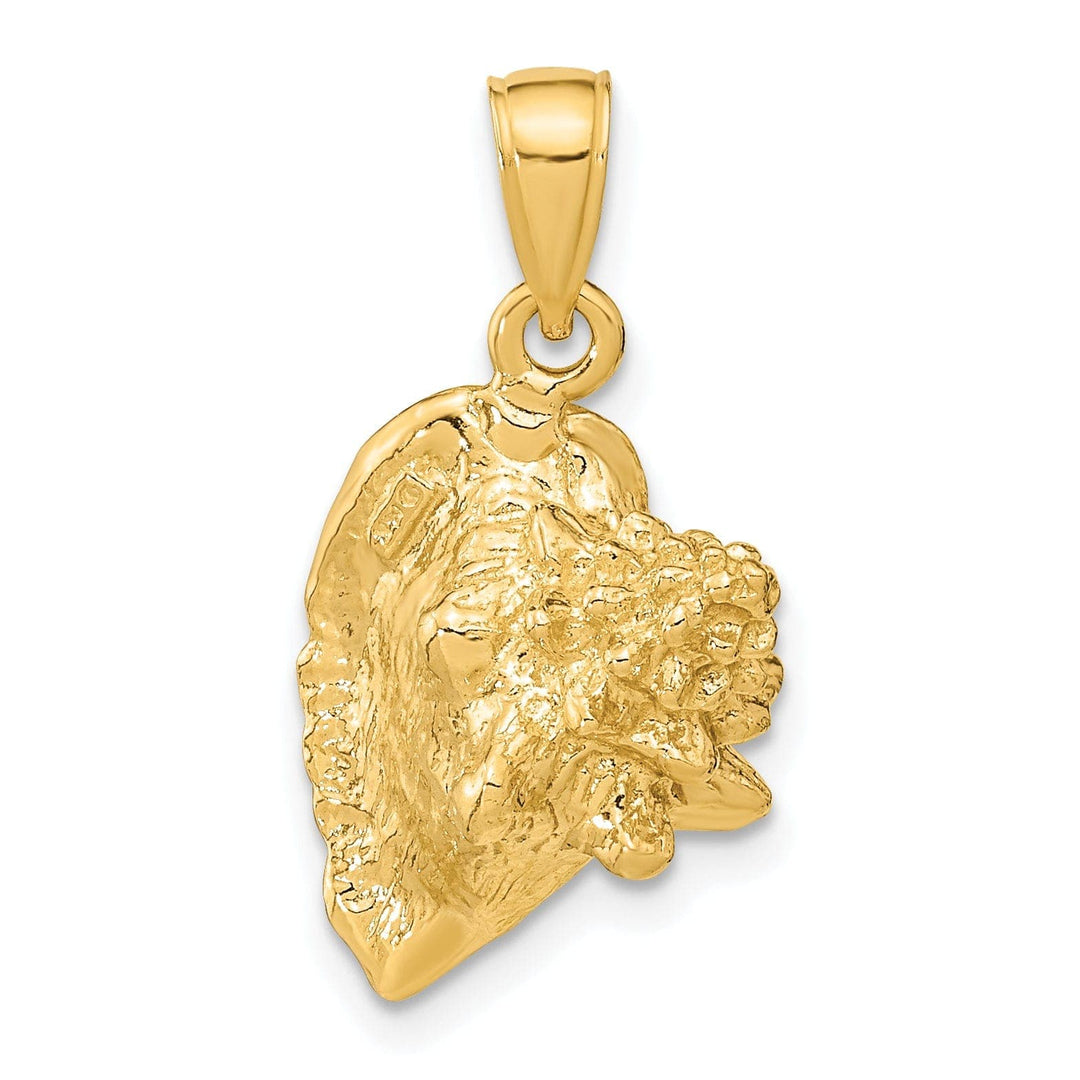 Lovely Rita's Pendants & Charms 14K Yellow Gold Polished Texture Finish 3-Dimensional Conch Shell Charm Pendant