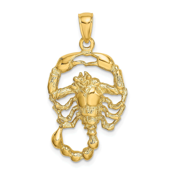 Lovely Rita's Pendants & Charms 14k Yellow Gold Polished Texture Finish Large Size3-D Scorpio Zodiac Charm Pendant