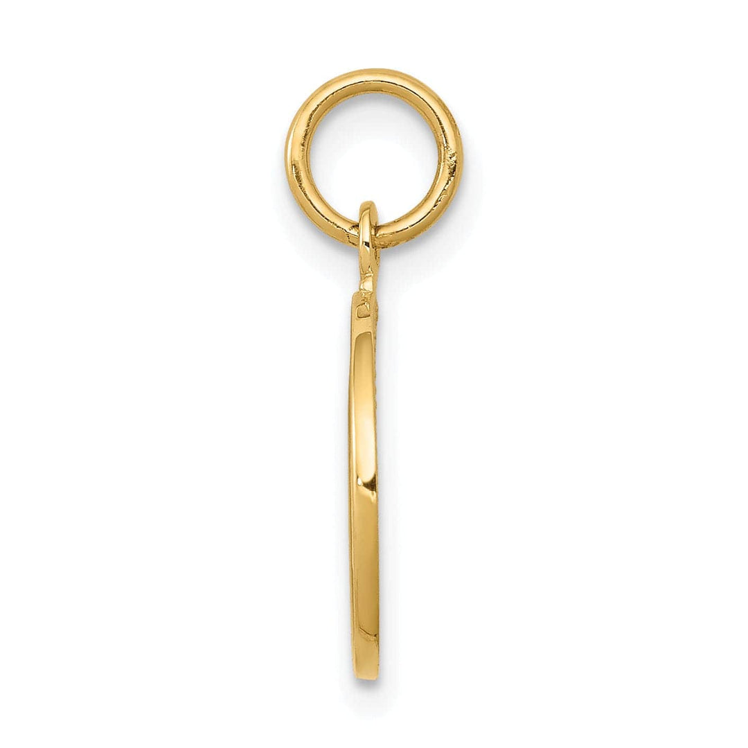 Lovely Rita's Pendants & Charms 14k Yellow Gold Polished Texture Finish Round Shape Angel Pendant