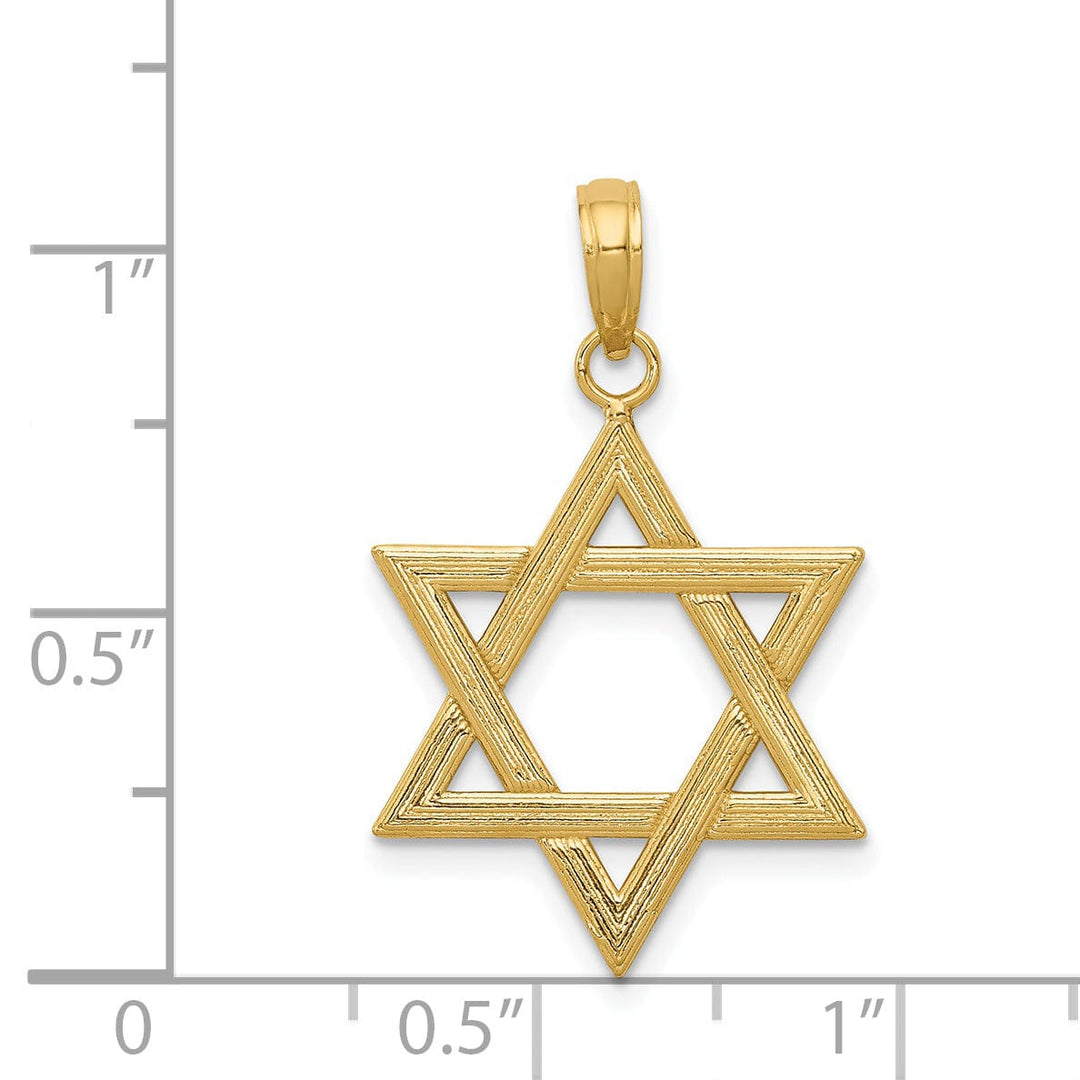 Lovely Rita's Pendants & Charms 14K Yellow Gold Polished Texture Finish Solid Star of David Pendant