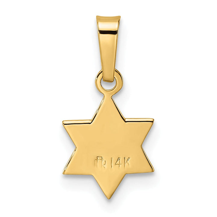 Lovely Rita's Pendants & Charms 14K Yellow Gold Polished Texture Finish Unisex Star Of David Pendant