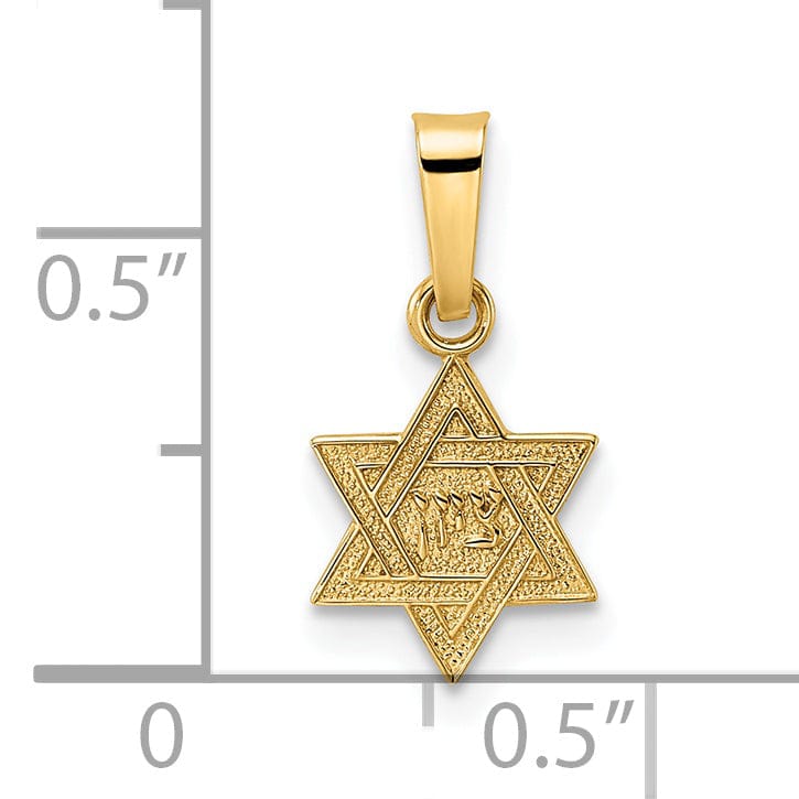 Lovely Rita's Pendants & Charms 14K Yellow Gold Polished Texture Finish Unisex Star Of David Pendant