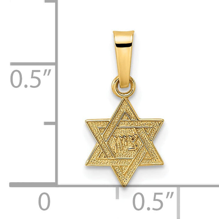 Lovely Rita's Pendants & Charms 14K Yellow Gold Polished Texture Finish Unisex Star Of David Pendant