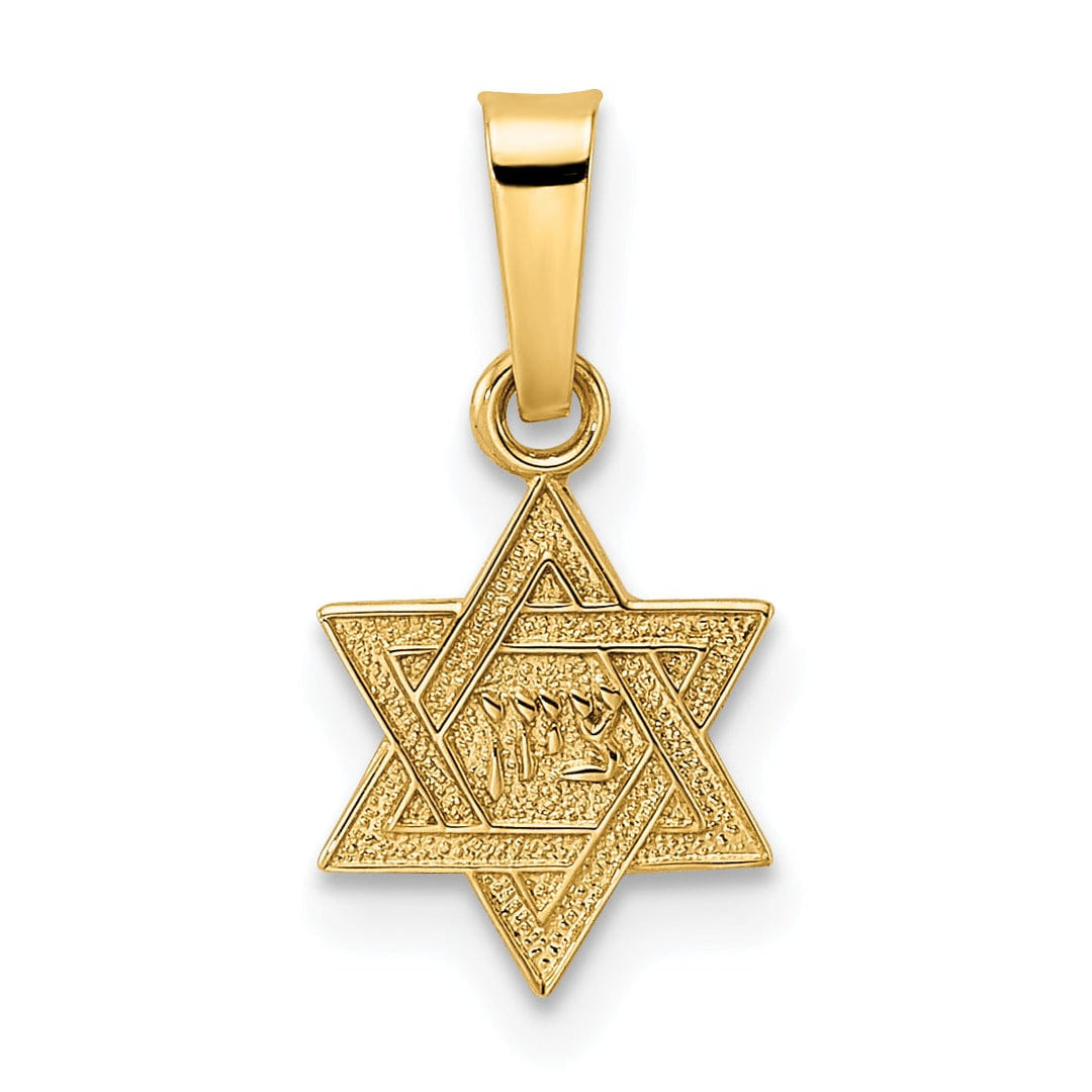Lovely Rita's Pendants & Charms 14K Yellow Gold Polished Texture Finish Unisex Star Of David Pendant