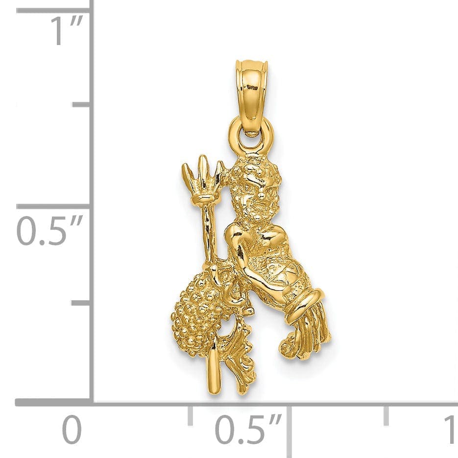 Lovely Rita's Pendants & Charms 14k Yellow Gold Polished Texture Finish3-D Aquarius Zodiac Charm Pendant