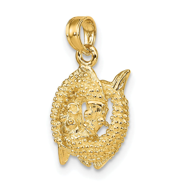 Lovely Rita's Pendants & Charms 14k Yellow Gold Polished Texture Finish3-D Pisces Zodiac Charm Pendant