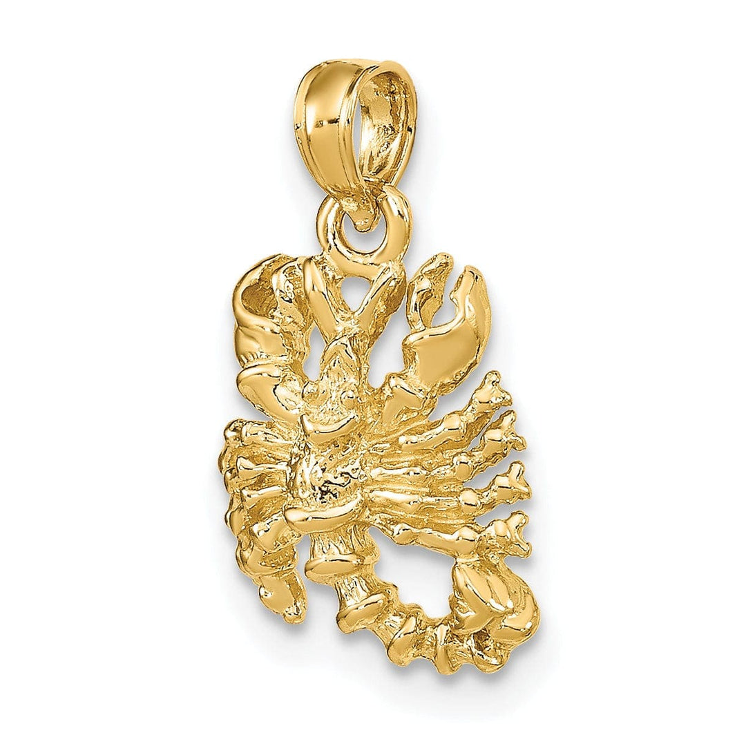 Lovely Rita's Pendants & Charms 14k Yellow Gold Polished Texture Finish3-D Scorpio Zodiac Charm Pendant