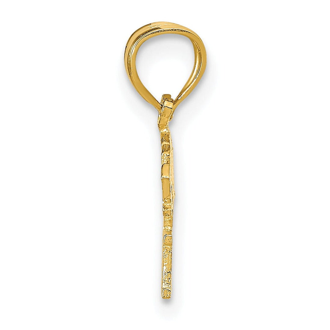 Lovely Rita's Pendants & Charms 14K Yellow Gold Polished Textured BORN TO WIN Charm Pendant
