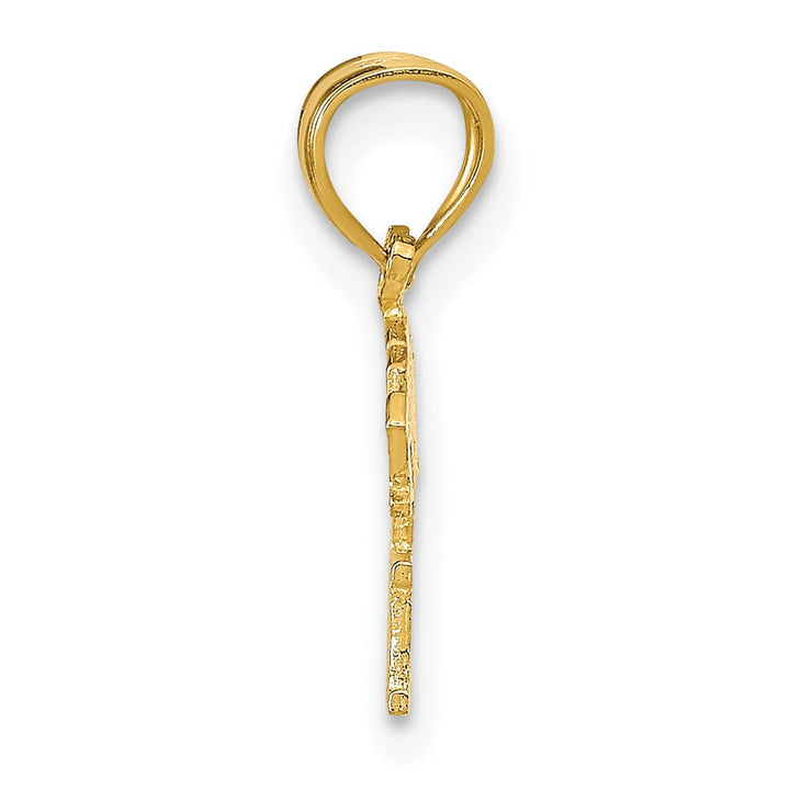 Lovely Rita's Pendants & Charms 14K Yellow Gold Polished Textured BORN TO WIN Charm Pendant