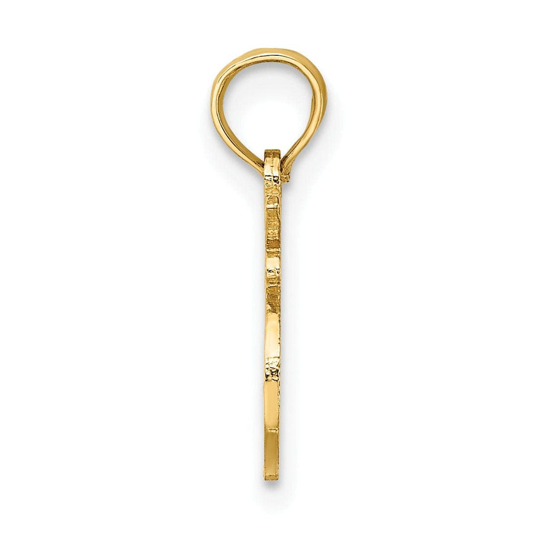 Lovely Rita's Pendants & Charms 14K Yellow Gold Polished Textured Finish 100% Zodiac LEO Charm Pendant