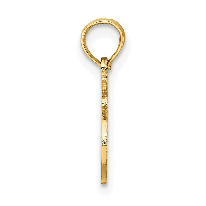 Lovely Rita's Pendants & Charms 14K Yellow Gold Polished Textured Finish 100% Zodiac LEO Charm Pendant