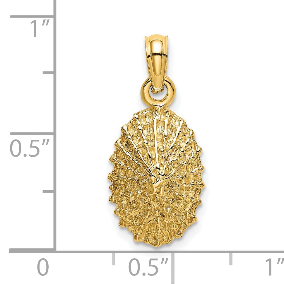 Lovely Rita's Pendants & Charms 14K Yellow Gold Polished Textured Finish Limpet Shell Charm Pendant