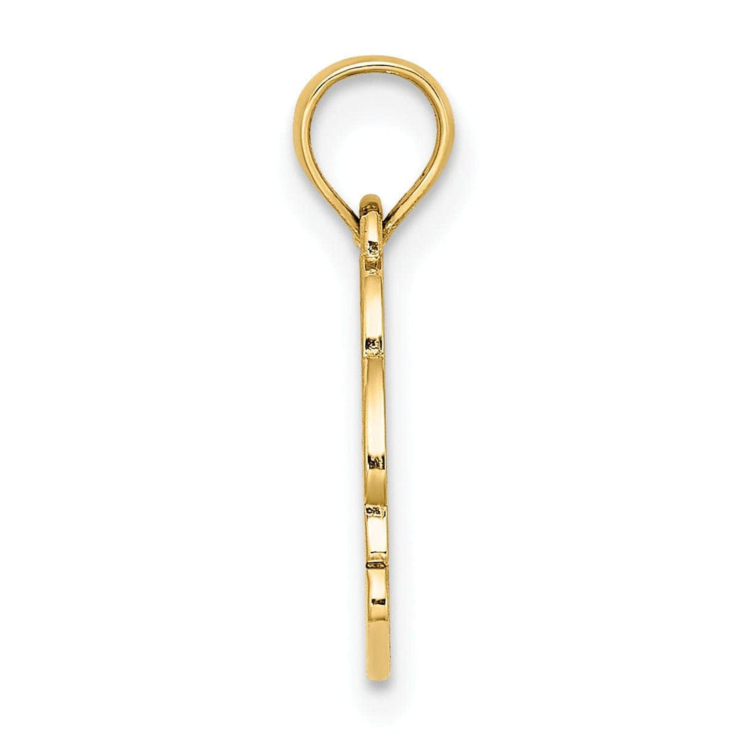 Lovely Rita's Pendants & Charms 14K Yellow Gold Polished Textured Finish NAGS HEAD Banner with Dolphin Charm Pendant