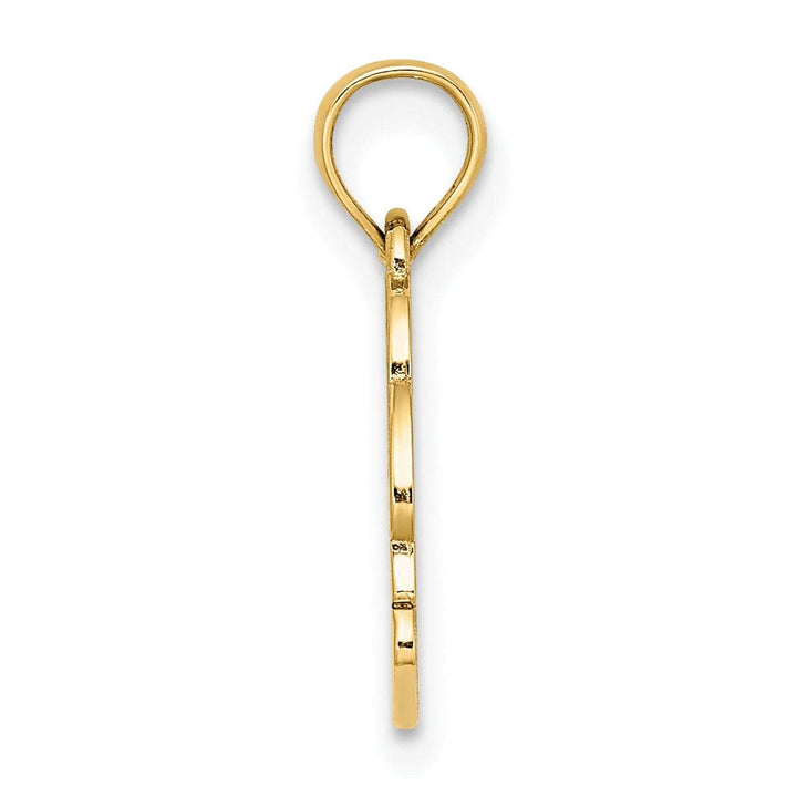 Lovely Rita's Pendants & Charms 14K Yellow Gold Polished Textured Finish NAGS HEAD Banner with Dolphin Charm Pendant