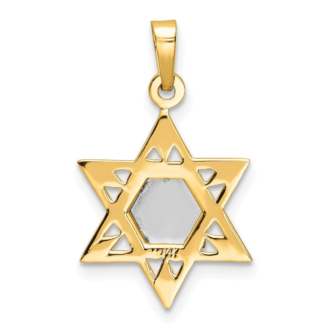 Lovely Rita's Pendants & Charms 14k Yellow Gold Polished Unisex Star of David with Torah Charm Pendant