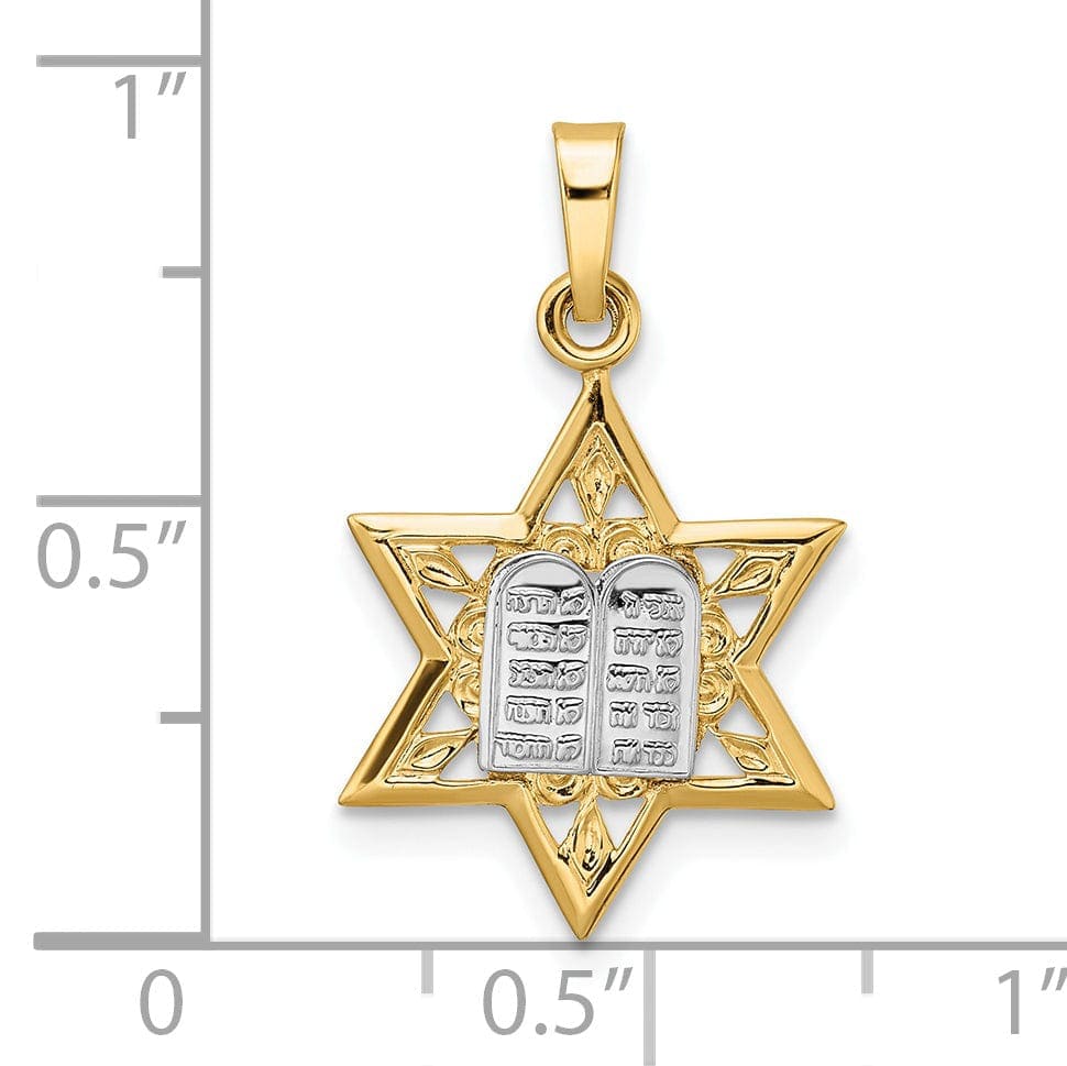 Lovely Rita's Pendants & Charms 14k Yellow Gold Polished Unisex Star of David with Torah Charm Pendant