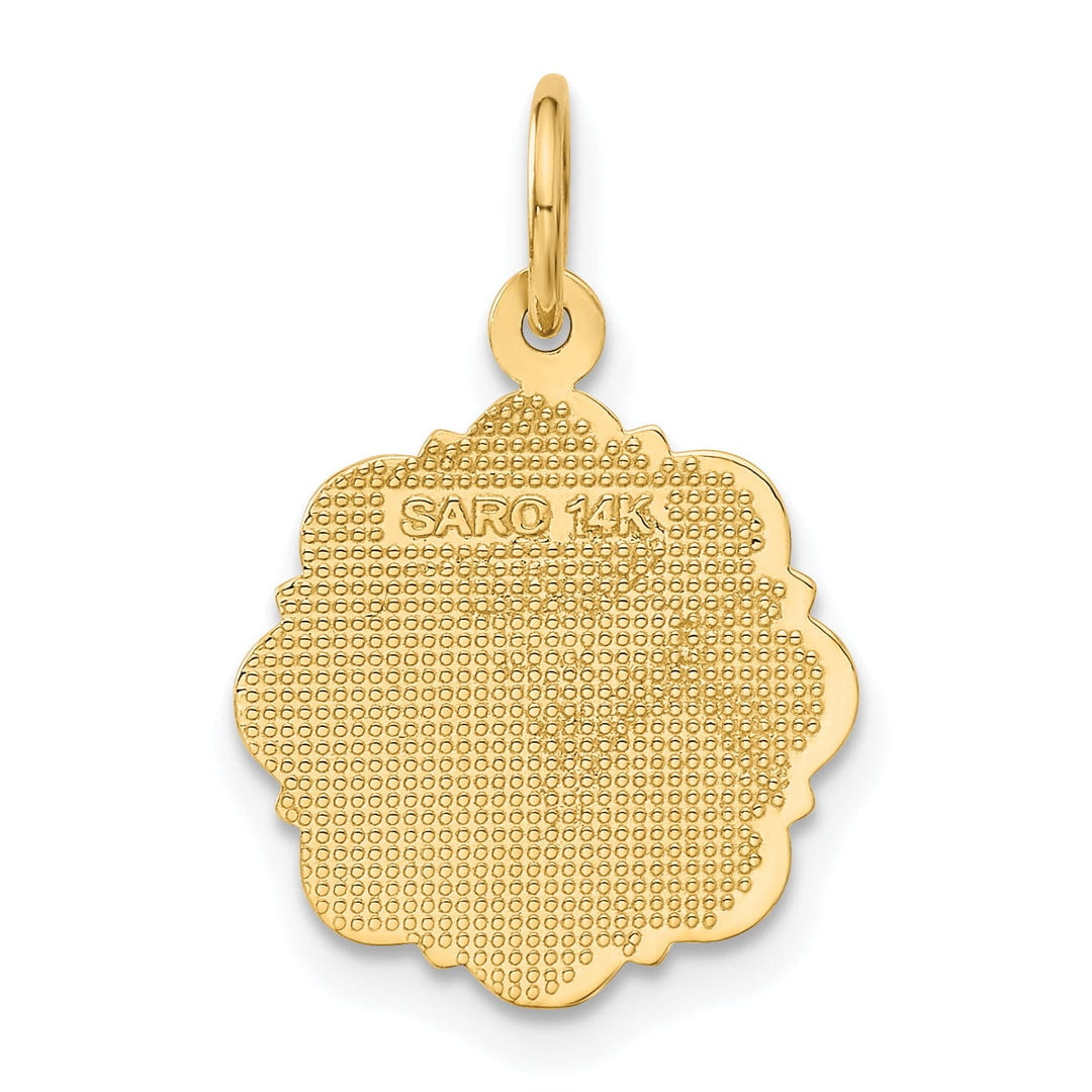 Lovely Rita's Pendants & Charms 14k Yellow Gold Registered Nurse Disc Pendant