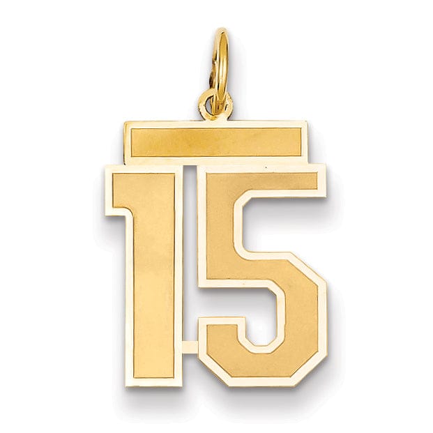 Lovely Rita's Pendants & Charms 14k Yellow Gold Satin Brush Finish Medium Size Number 15 Charm Pendant