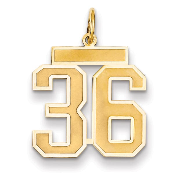 Lovely Rita's Pendants & Charms 14k Yellow Gold Satin Brush Finish Medium Size Number 36 Charm Pendant