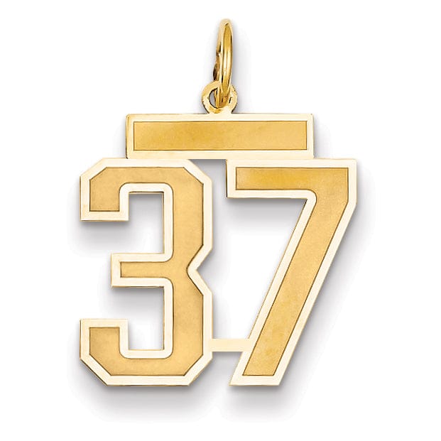 Lovely Rita's Pendants & Charms 14k Yellow Gold Satin Brush Finish Medium Size Number 37 Charm Pendant