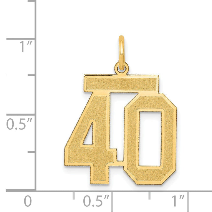 Lovely Rita's Pendants & Charms 14k Yellow Gold Satin Brush Finish Medium Size Number 40 Charm Pendant