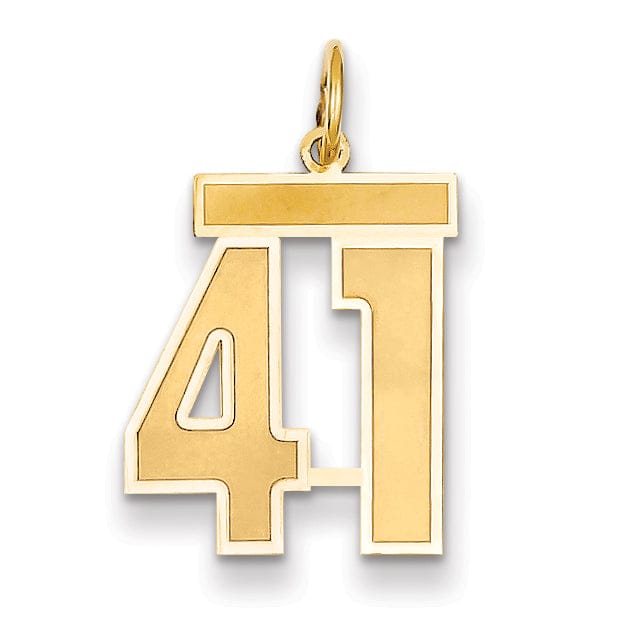 Lovely Rita's Pendants & Charms 14k Yellow Gold Satin Brush Finish Medium Size Number 41 Charm Pendant