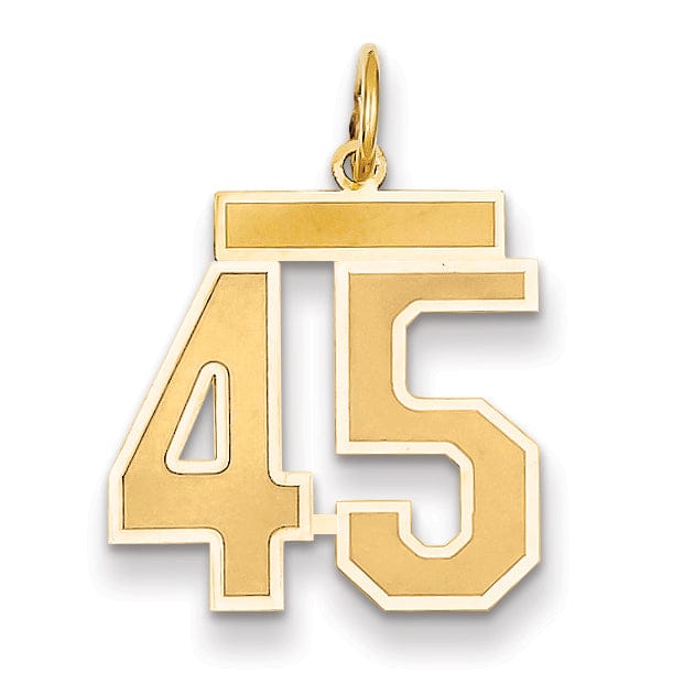 Lovely Rita's Pendants & Charms 14k Yellow Gold Satin Brush Finish Medium Size Number 45 Charm Pendant