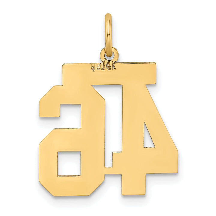 Lovely Rita's Pendants & Charms 14k Yellow Gold Satin Brush Finish Medium Size Number 46 Charm Pendant