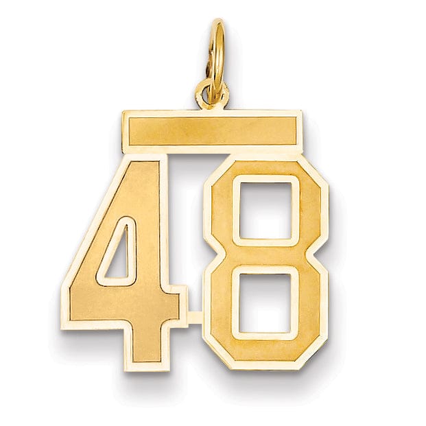 Lovely Rita's Pendants & Charms 14k Yellow Gold Satin Brush Finish Medium Size Number 48 Charm Pendant