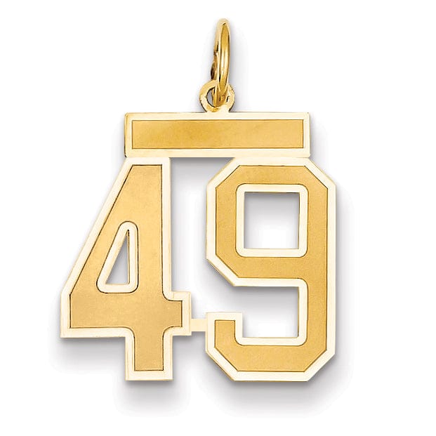Lovely Rita's Pendants & Charms 14k Yellow Gold Satin Brush Finish Medium Size Number 49 Charm Pendant