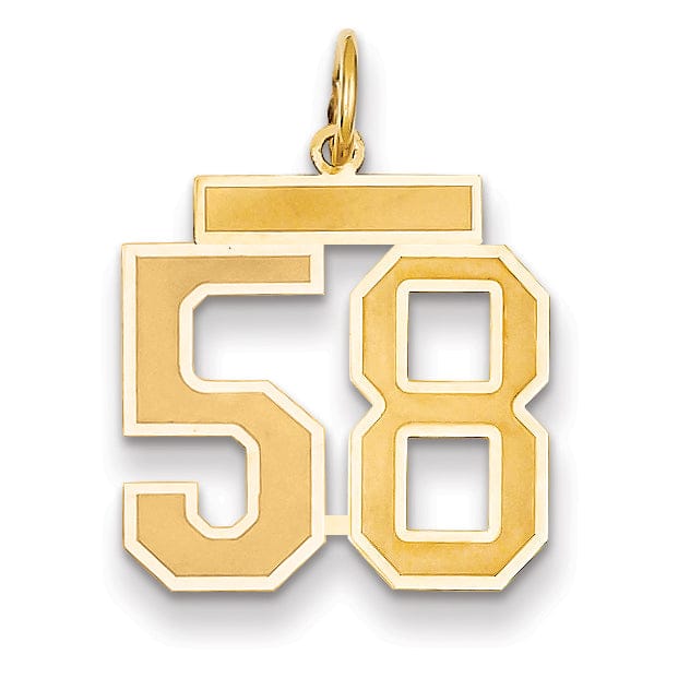 Lovely Rita's Pendants & Charms 14k Yellow Gold Satin Brush Finish Medium Size Number 58 Charm Pendant