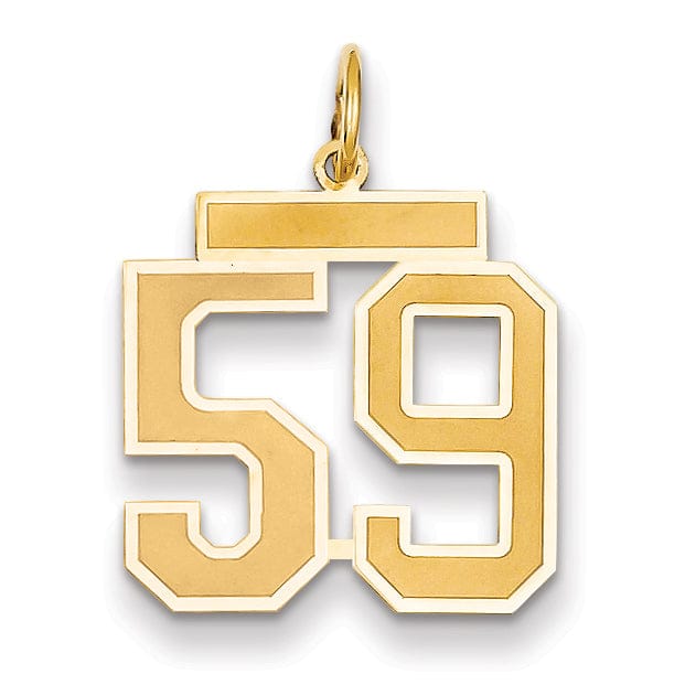 Lovely Rita's Pendants & Charms 14k Yellow Gold Satin Brush Finish Medium Size Number 59 Charm Pendant