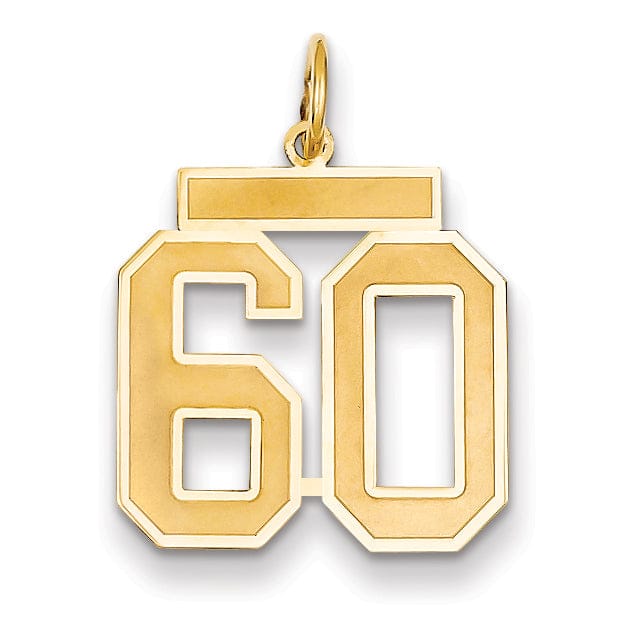Lovely Rita's Pendants & Charms 14k Yellow Gold Satin Brush Finish Medium Size Number 60 Charm Pendant