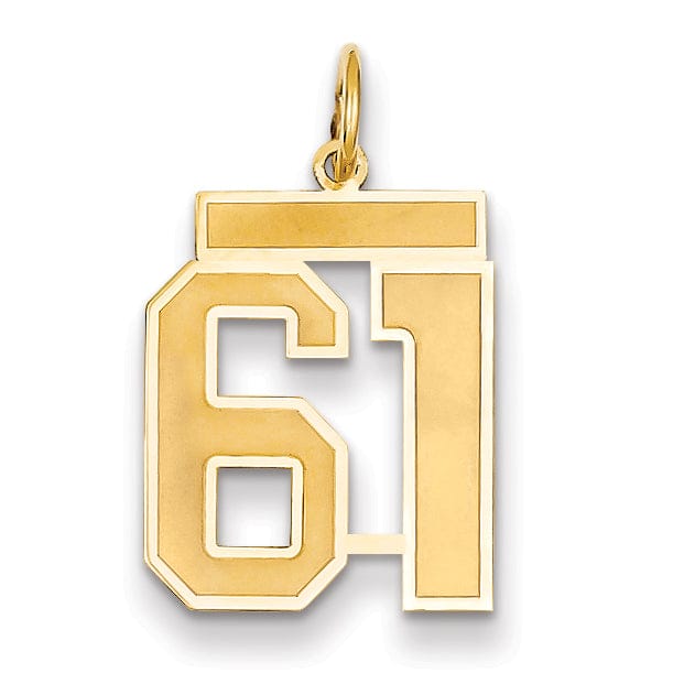 Lovely Rita's Pendants & Charms 14k Yellow Gold Satin Brush Finish Medium Size Number 61 Charm Pendant