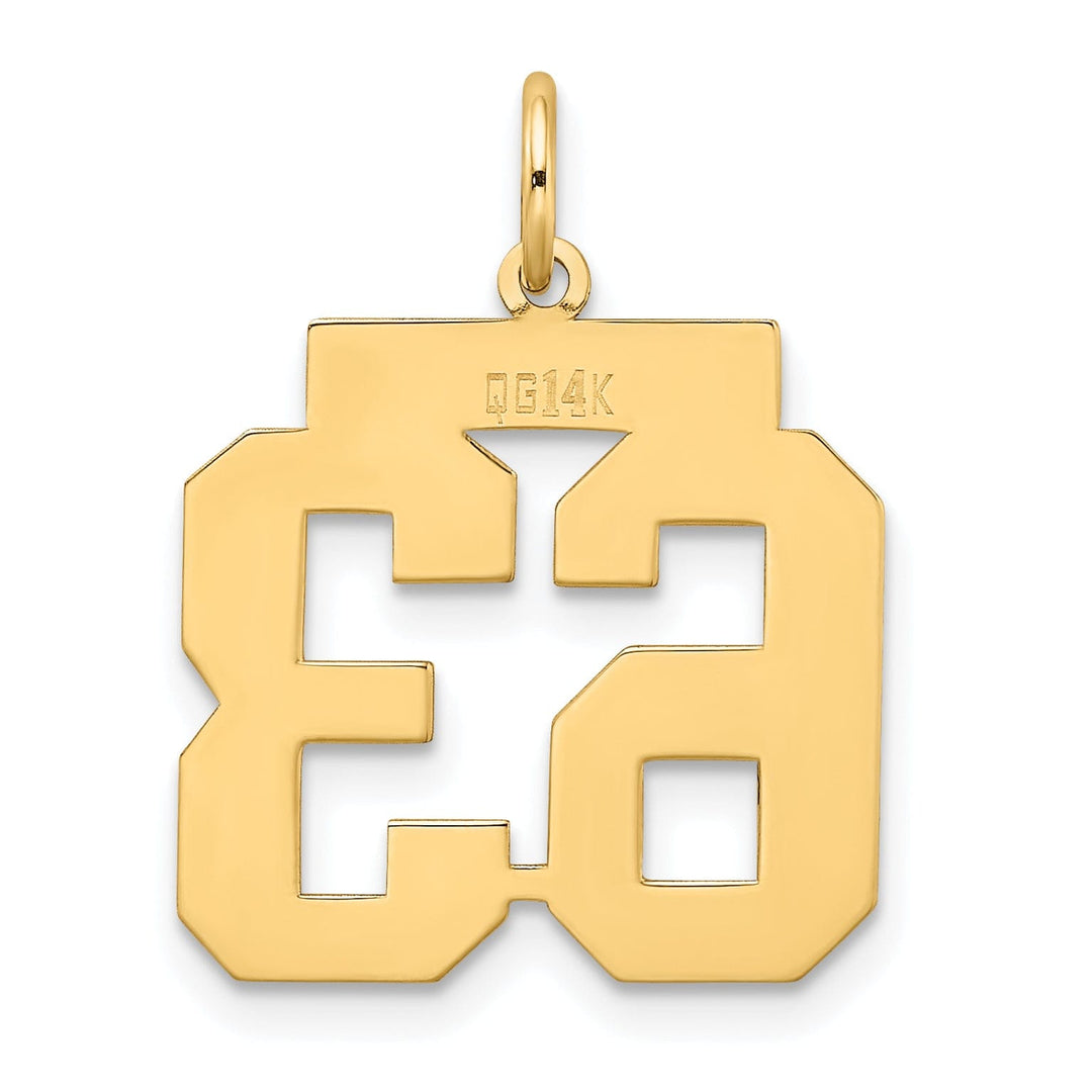 Lovely Rita's Pendants & Charms 14k Yellow Gold Satin Brush Finish Medium Size Number 63 Charm Pendant
