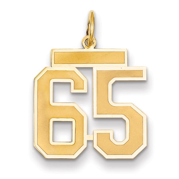 Lovely Rita's Pendants & Charms 14k Yellow Gold Satin Brush Finish Medium Size Number 65 Charm Pendant