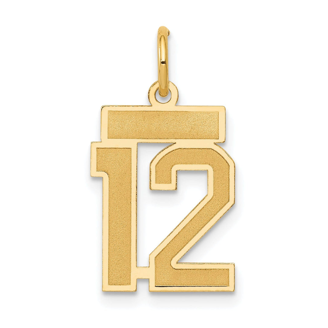 Lovely Rita's Pendants & Charms 14k Yellow Gold Satin Brush Finish Small Size Number 12 Charm Pendant