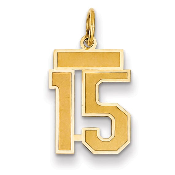 Lovely Rita's Pendants & Charms 14k Yellow Gold Satin Brush Finish Small Size Number 15 Charm Pendant