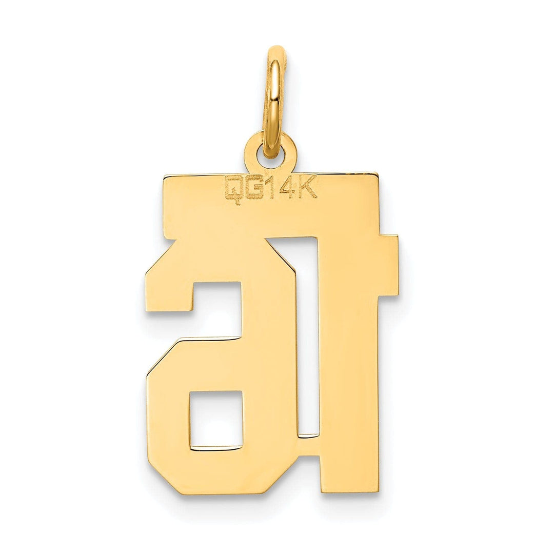 Lovely Rita's Pendants & Charms 14k Yellow Gold Satin Brush Finish Small Size Number 16 Charm Pendant