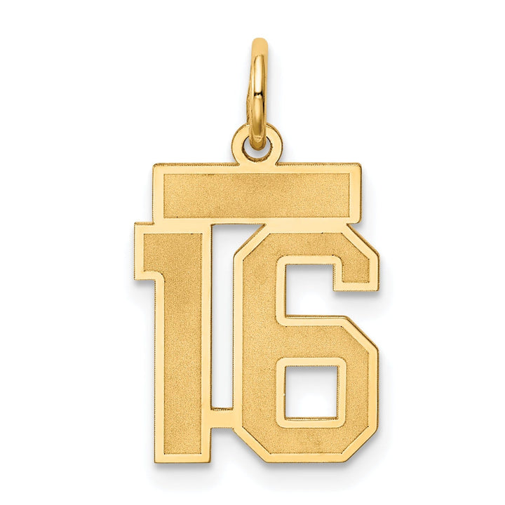 Lovely Rita's Pendants & Charms 14k Yellow Gold Satin Brush Finish Small Size Number 16 Charm Pendant