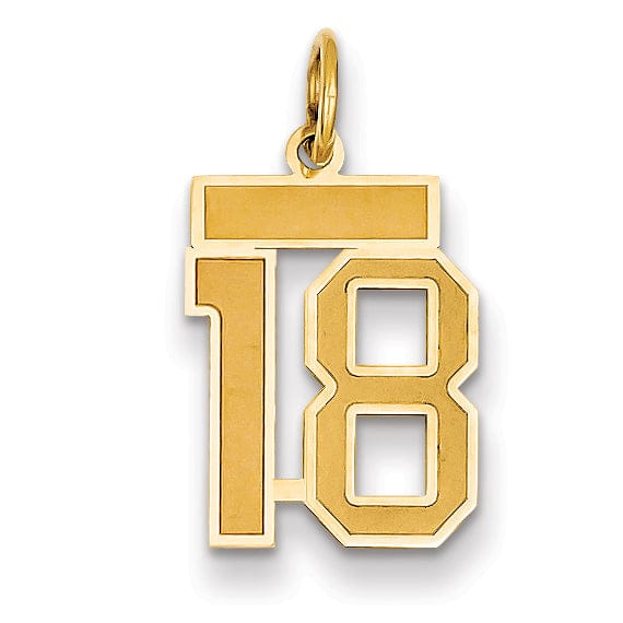 Lovely Rita's Pendants & Charms 14k Yellow Gold Satin Brush Finish Small Size Number 18 Charm Pendant